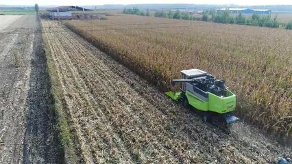 中聯重科 玉米籽粒直收，縱軸流收割機為何一馬當先？